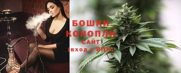 бошки Бородино
