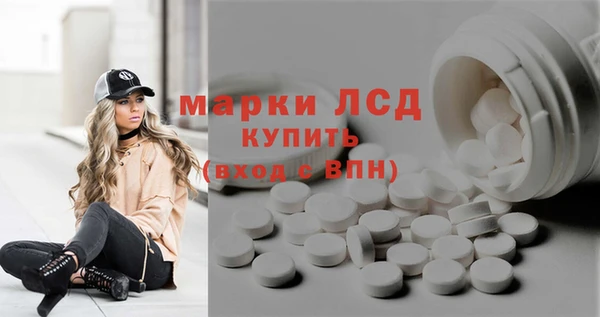 бошки Бородино